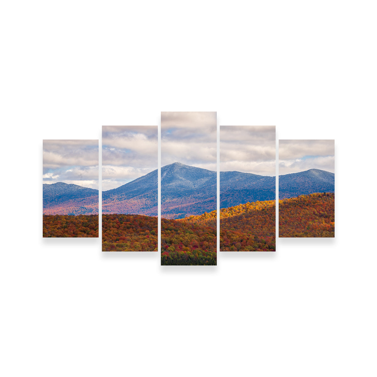 Tease of Winter Wall Art