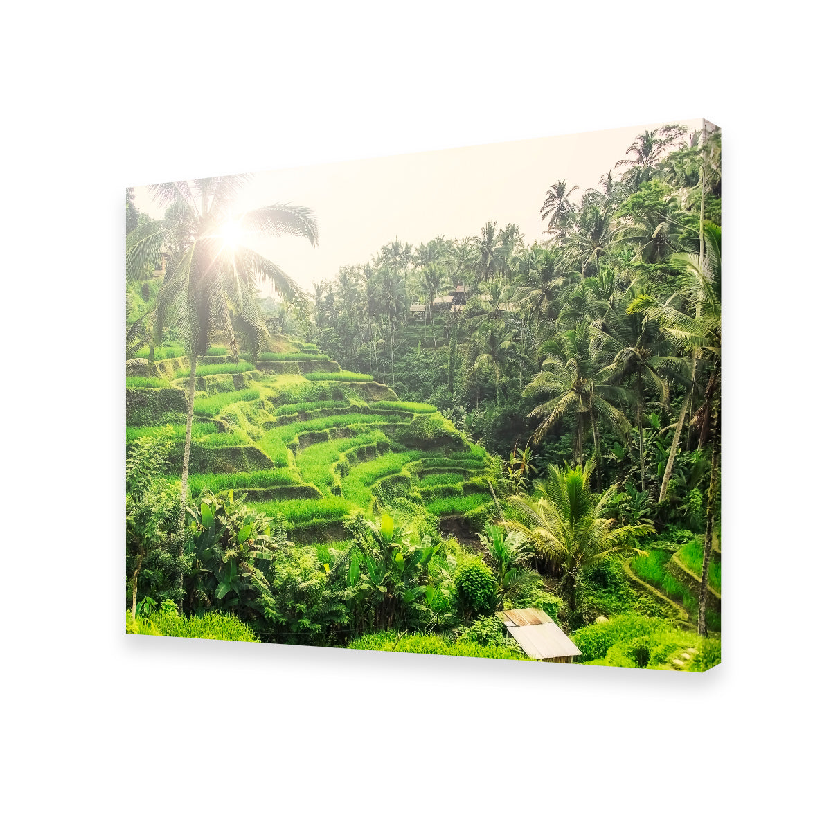 Tegallalang Wall Art