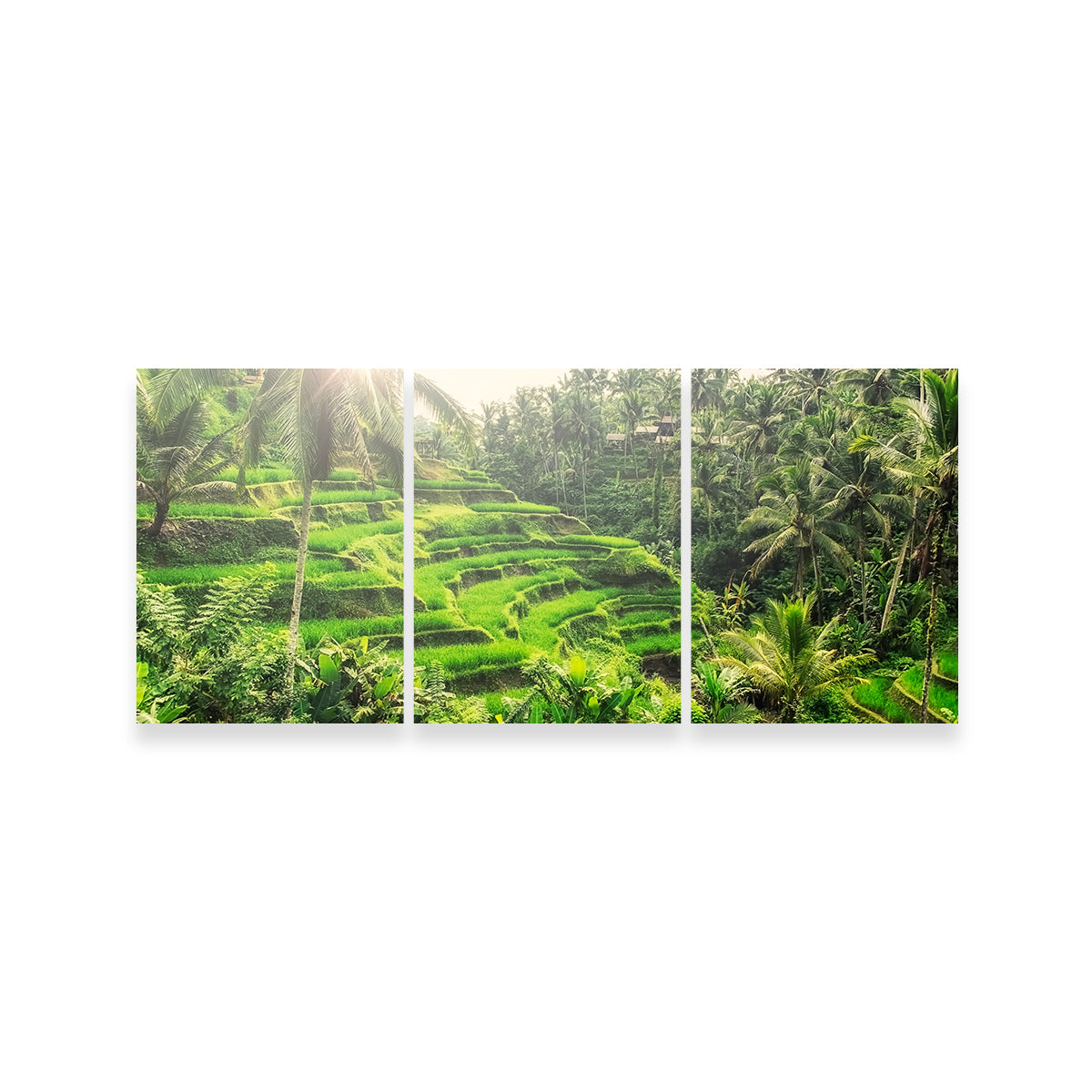 Tegallalang Wall Art