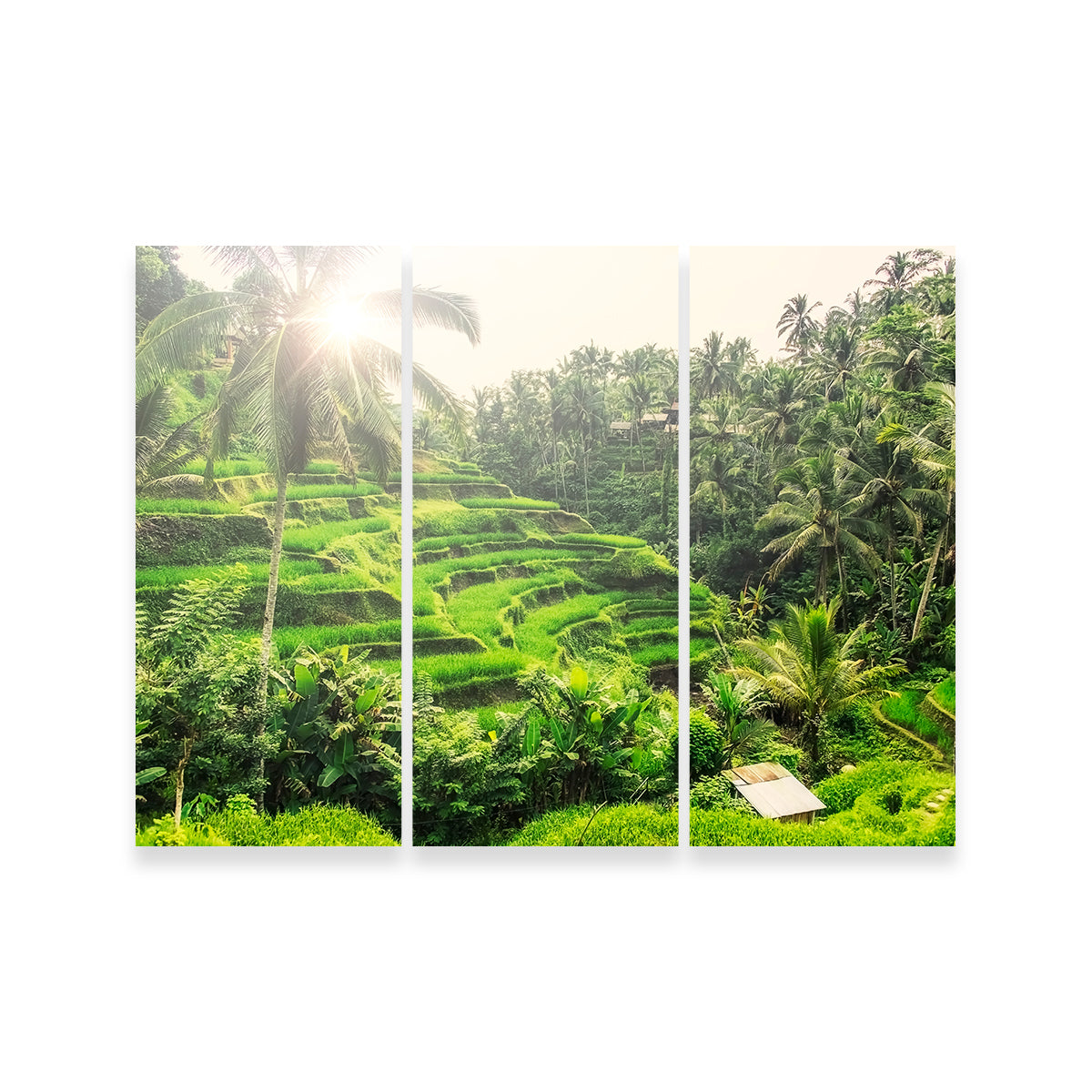 Tegallalang Wall Art