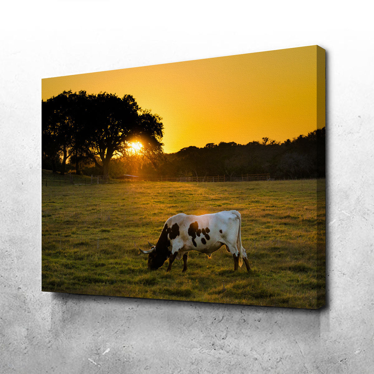Texas Longhorn at Sunset Wall Art