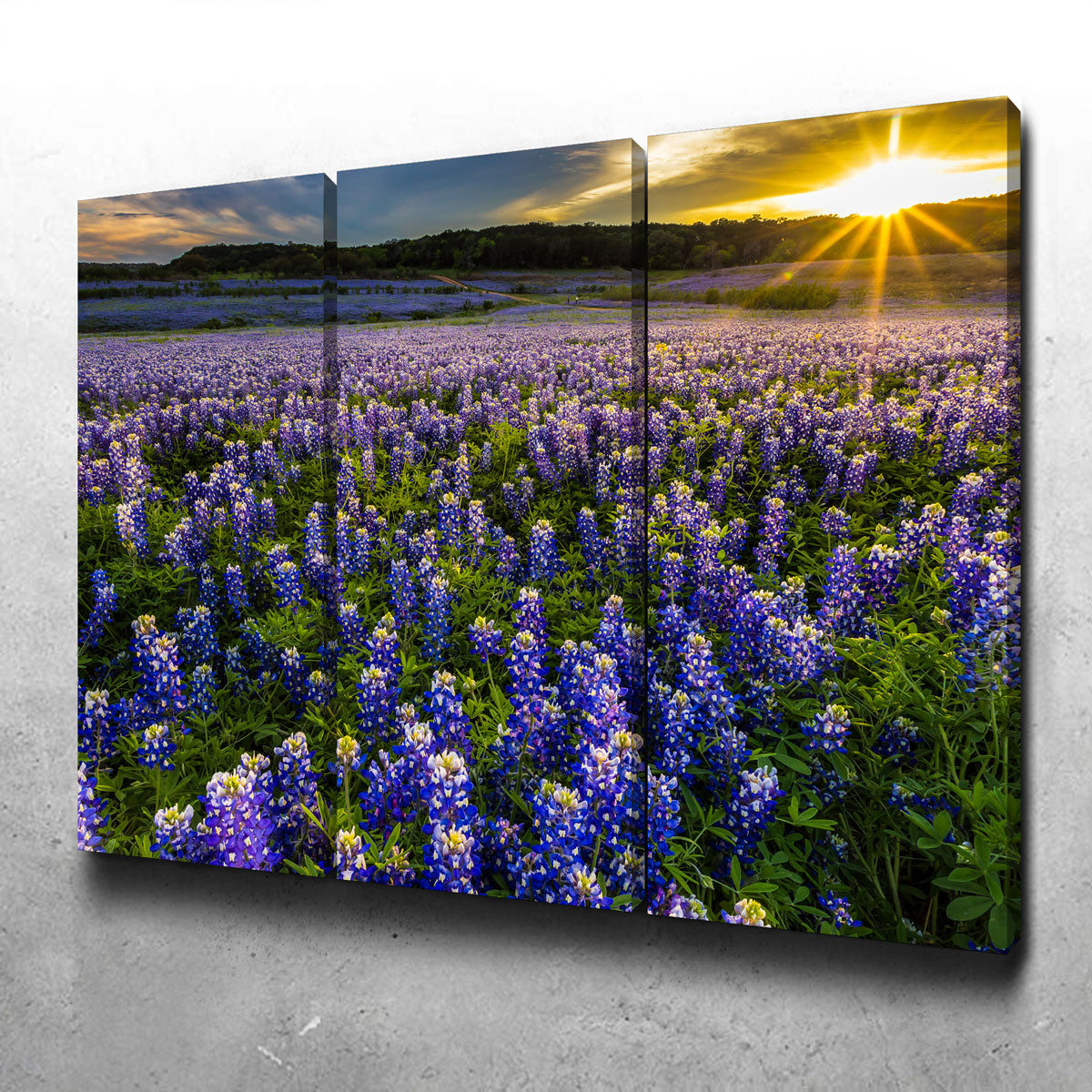 Texas Bluebonnet Field Muleshoe Bend Wall Art