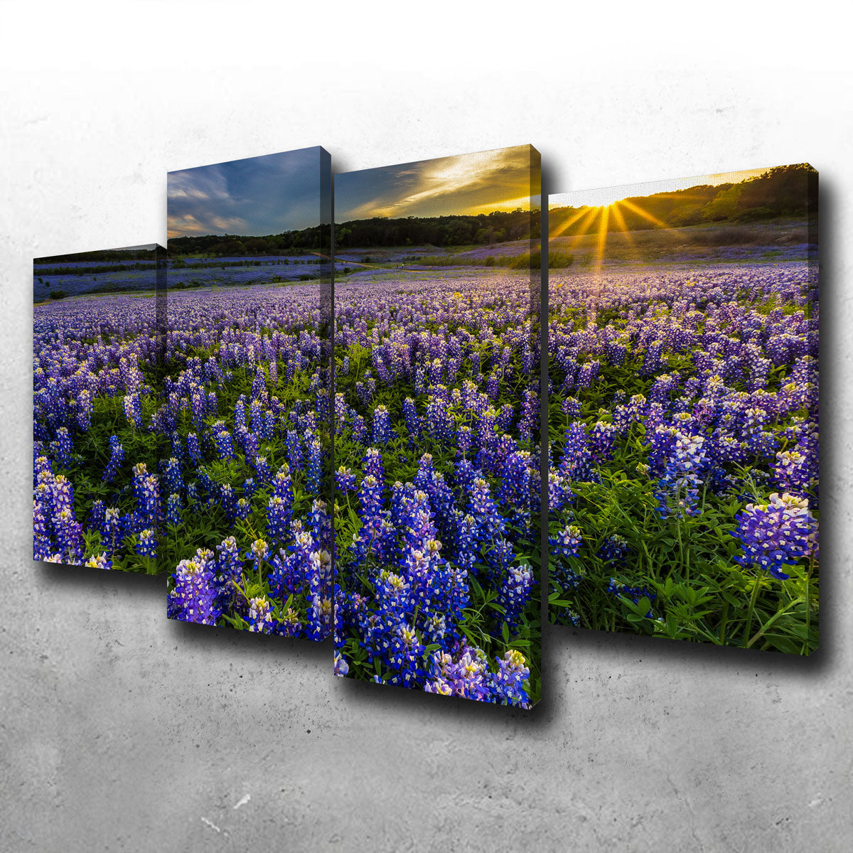 Aluminum Print Metal Art Texas Hill Country Bluebonnets good Blue State Flower Texas Aluminum Wall Art Print