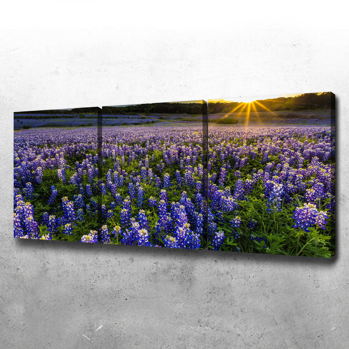 Texas Bluebonnet Field Muleshoe Bend Wall Art