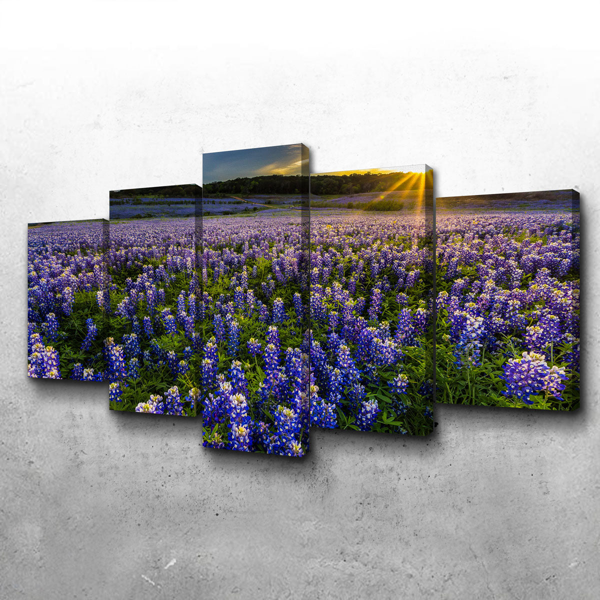 Texas Bluebonnet Field Muleshoe Bend Wall Art