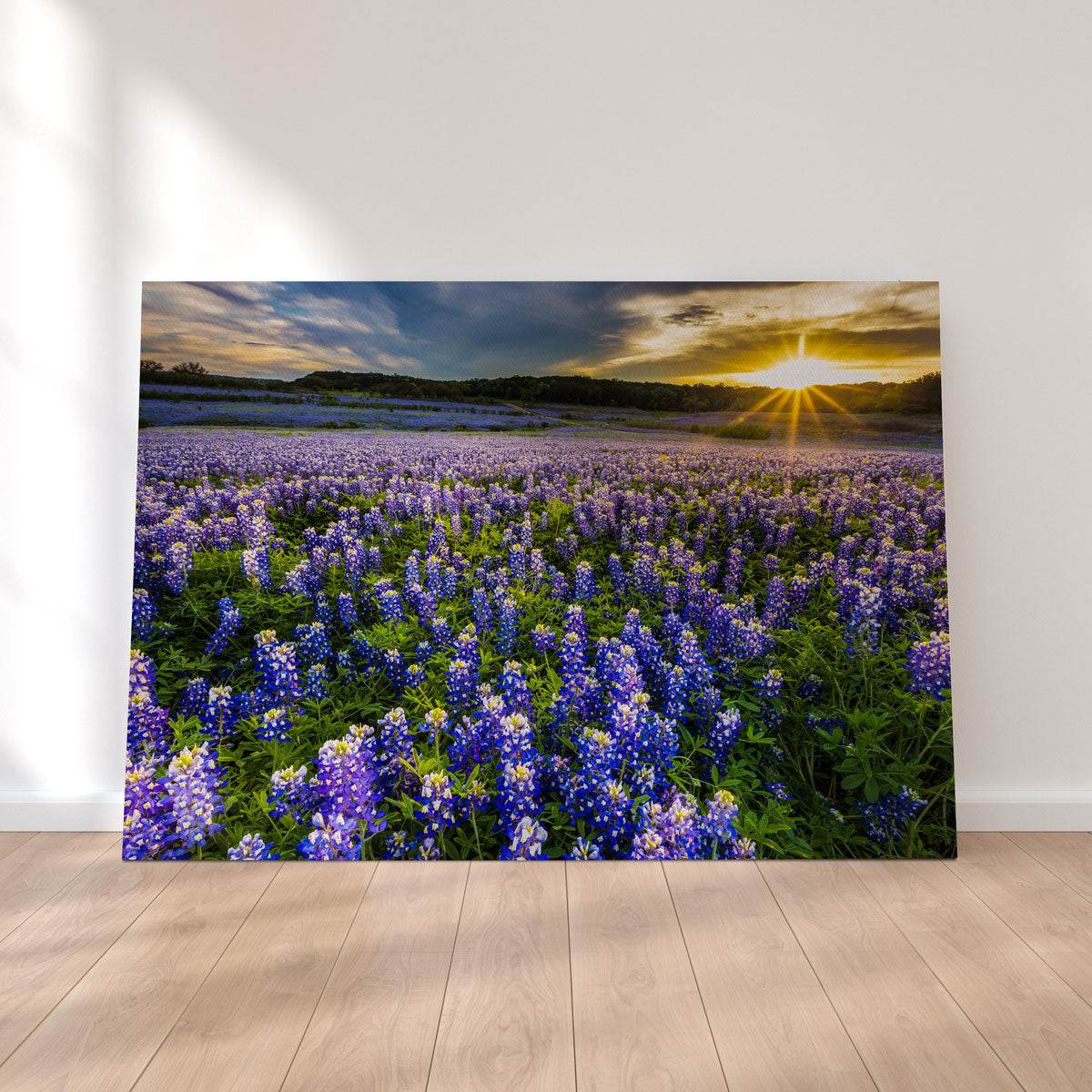 Texas Bluebonnet Field Muleshoe Bend Wall Art