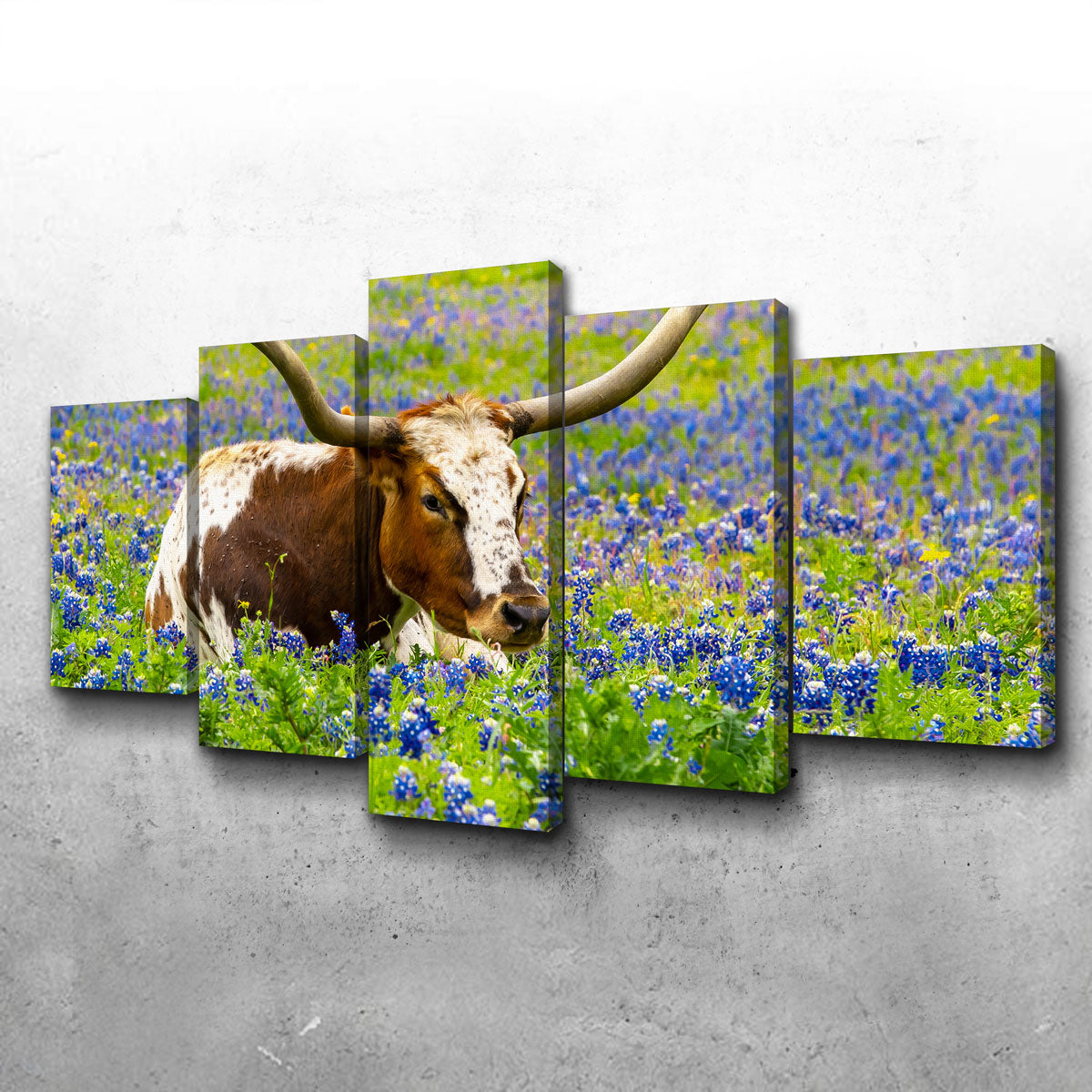 Texas Longhorn Bull Wall Art