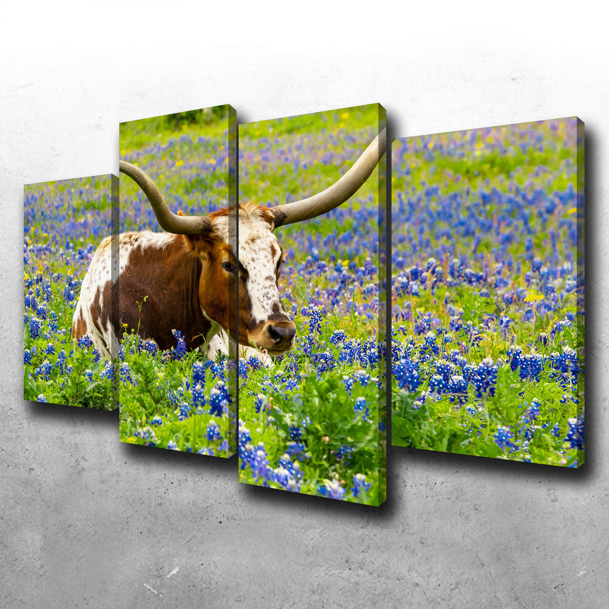 Texas Longhorn Bull Wall Art