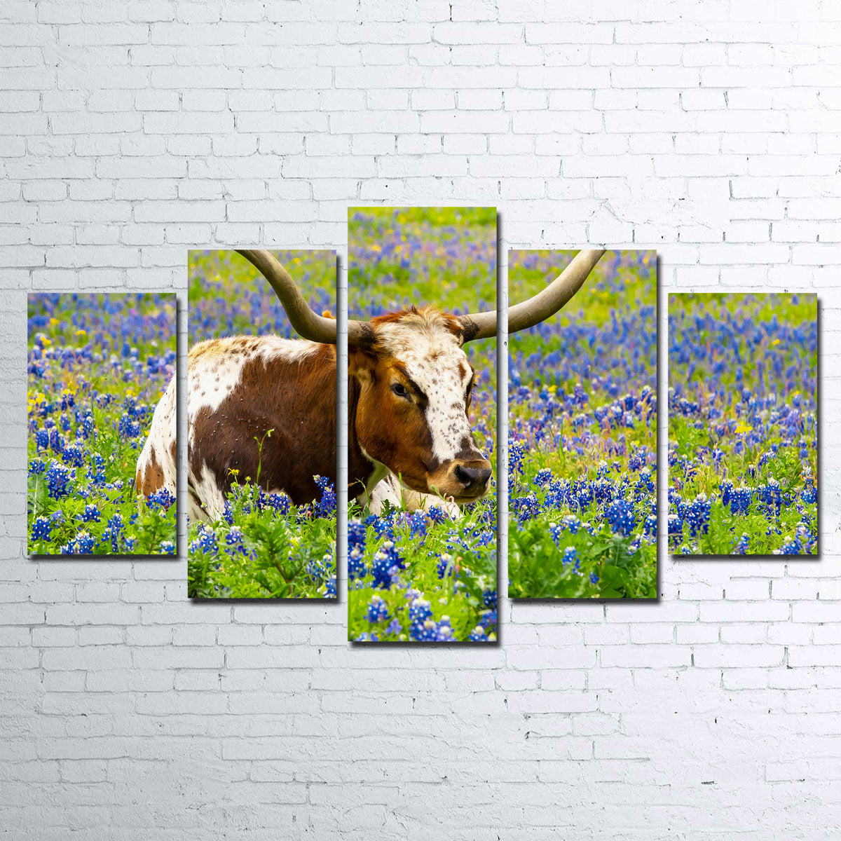 Texas Longhorn Bull Wall Art