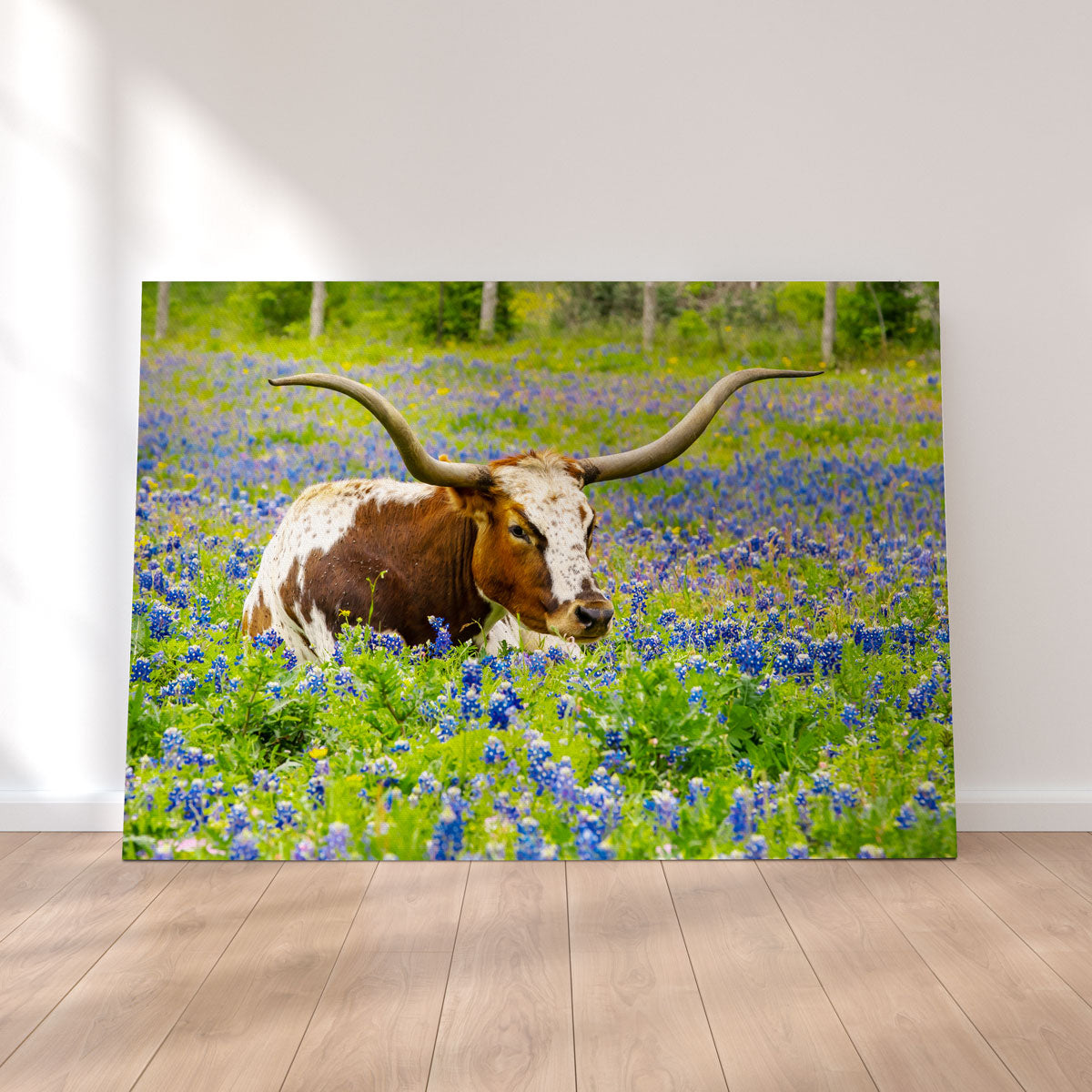 Texas Longhorn Bull Wall Art