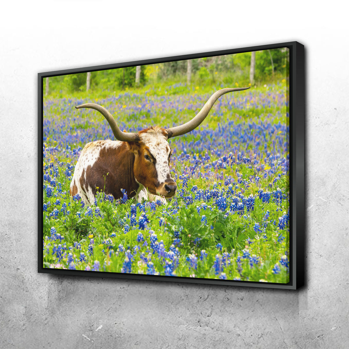 Texas Longhorn Bull Wall Art