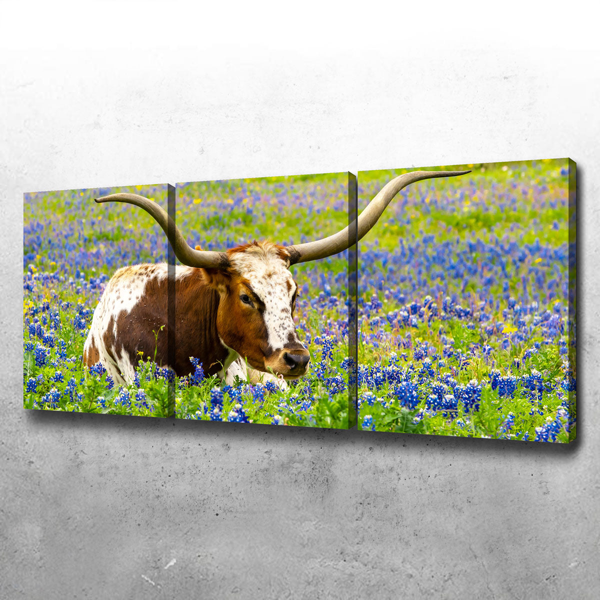 Texas Longhorn Bull Wall Art