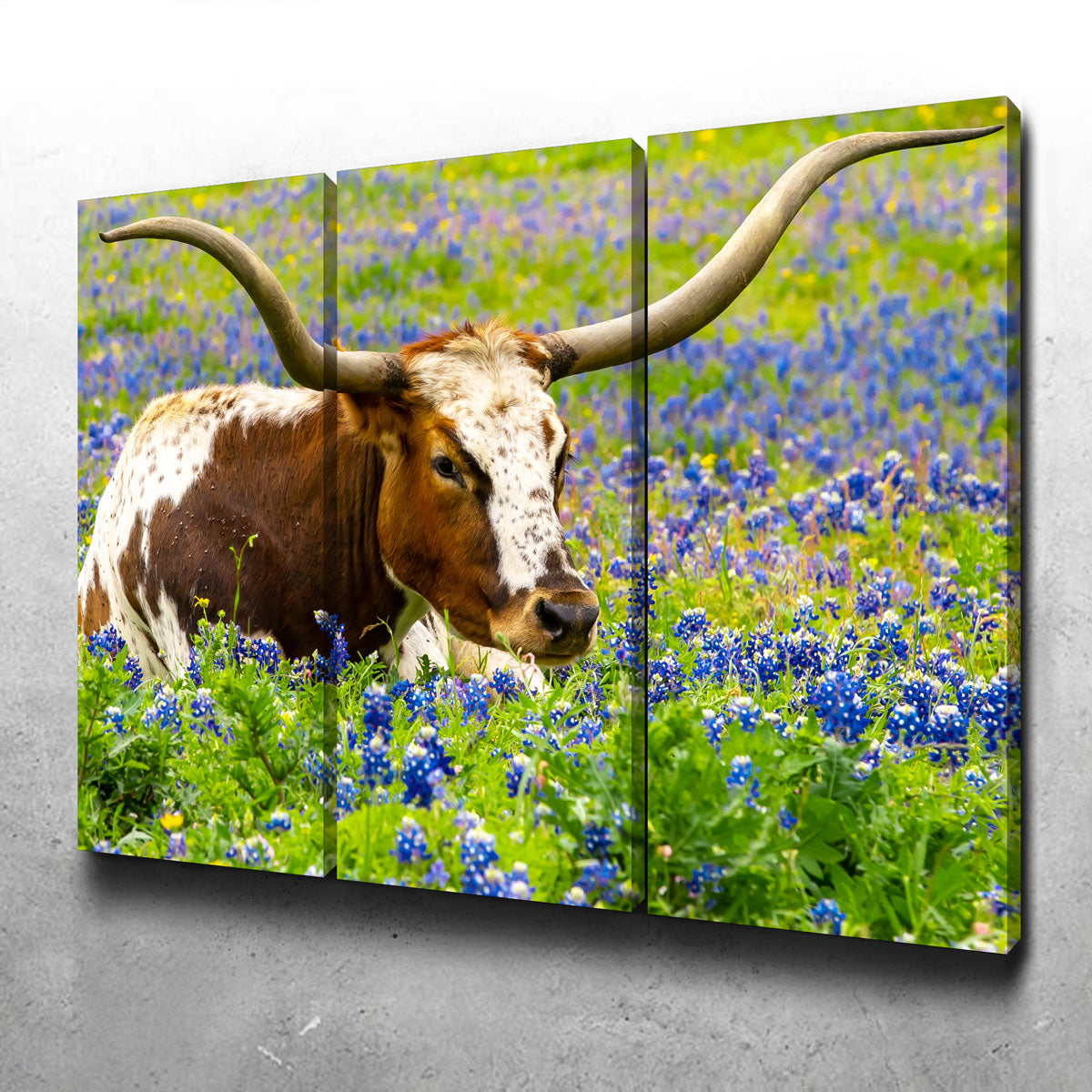 Texas Longhorn Bull Wall Art