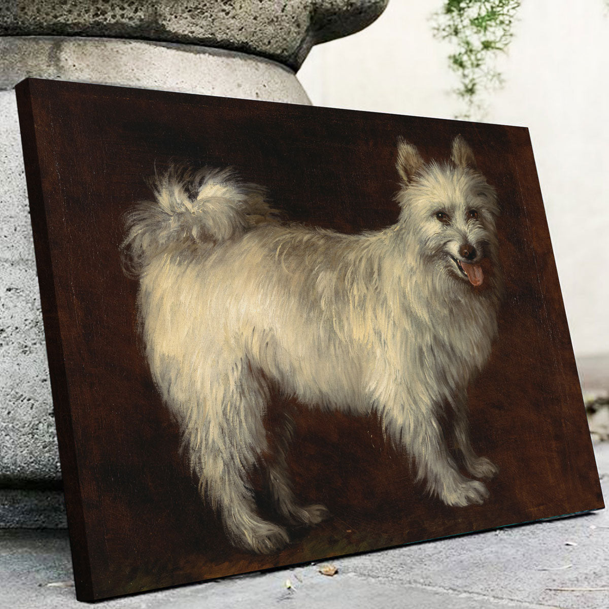 Spitz Dog Wall Art