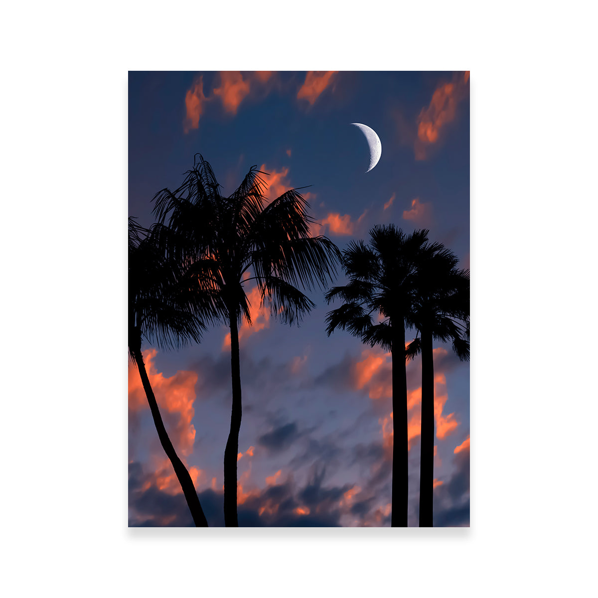 Tropical Night Wall Art