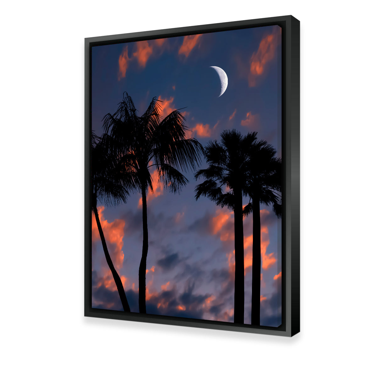 Tropical Night Wall Art