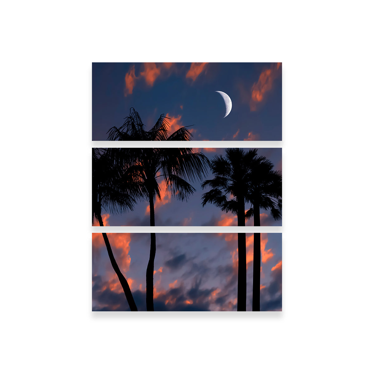Tropical Night Wall Art