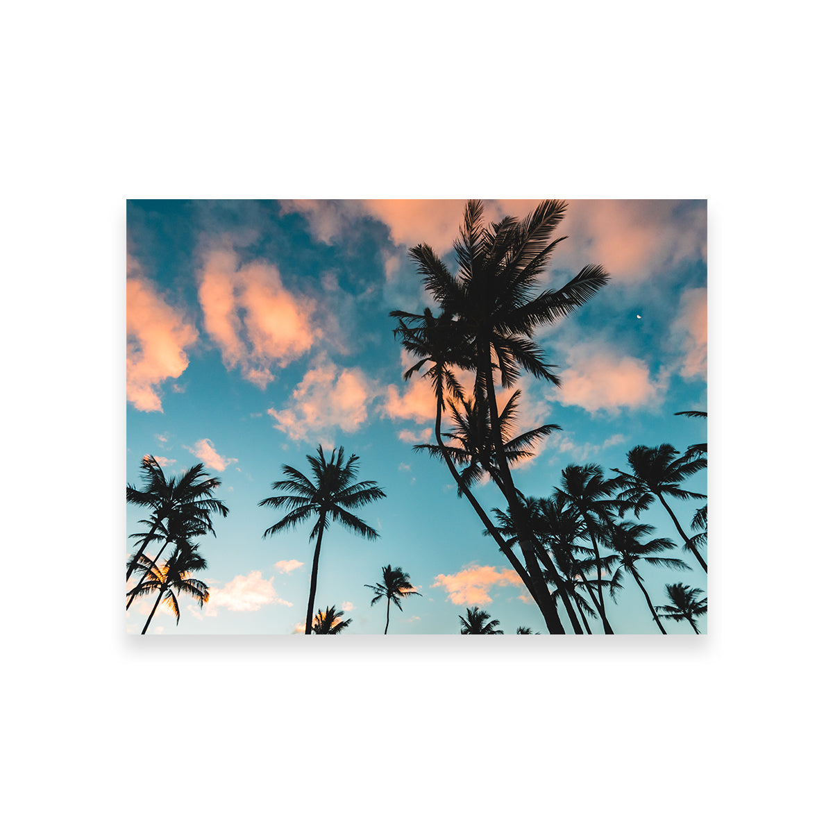 Tropical Sunrise Wall Art