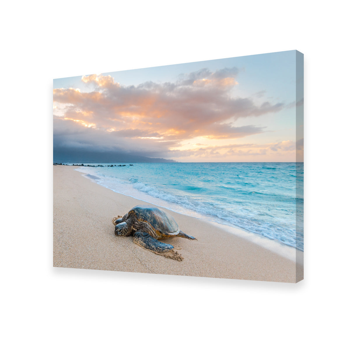 Turtle Sunset Wall Art