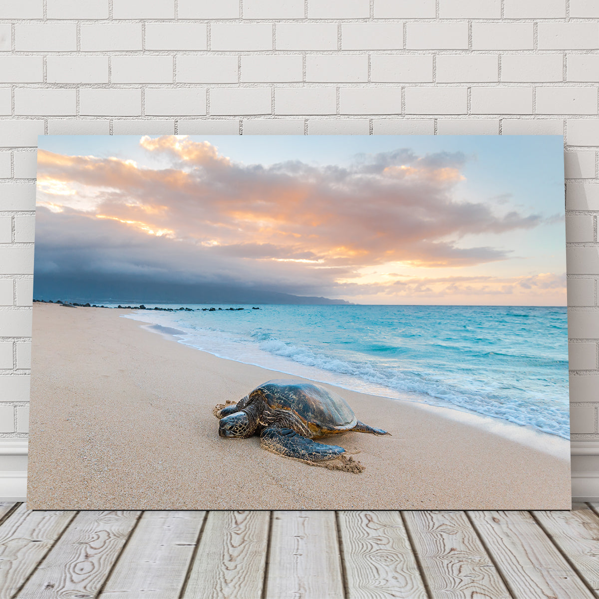 Turtle Sunset Wall Art