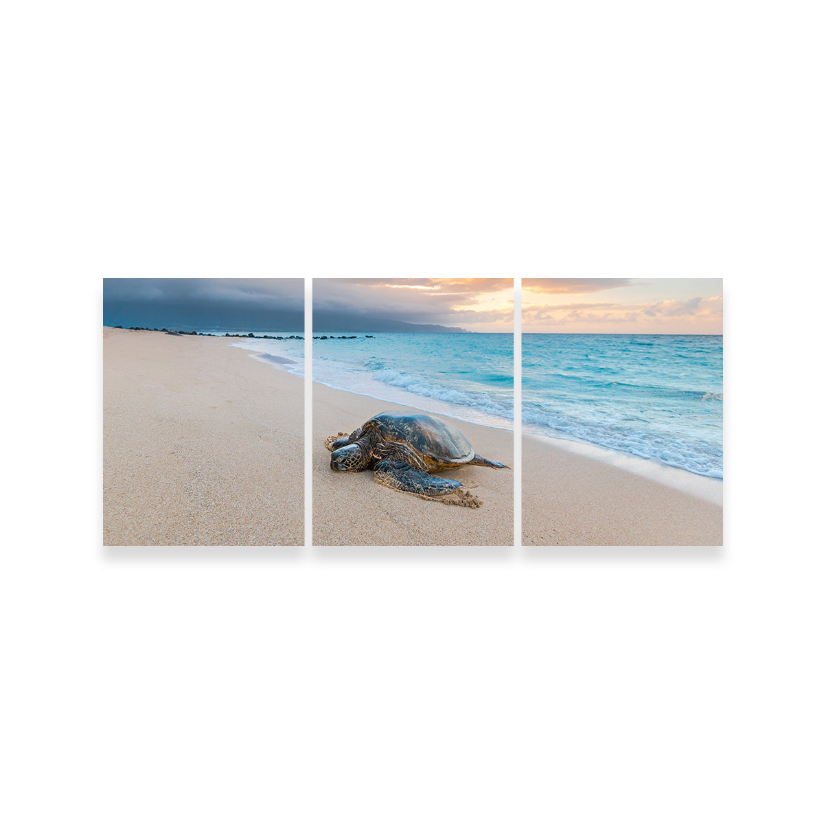 Turtle Sunset Wall Art