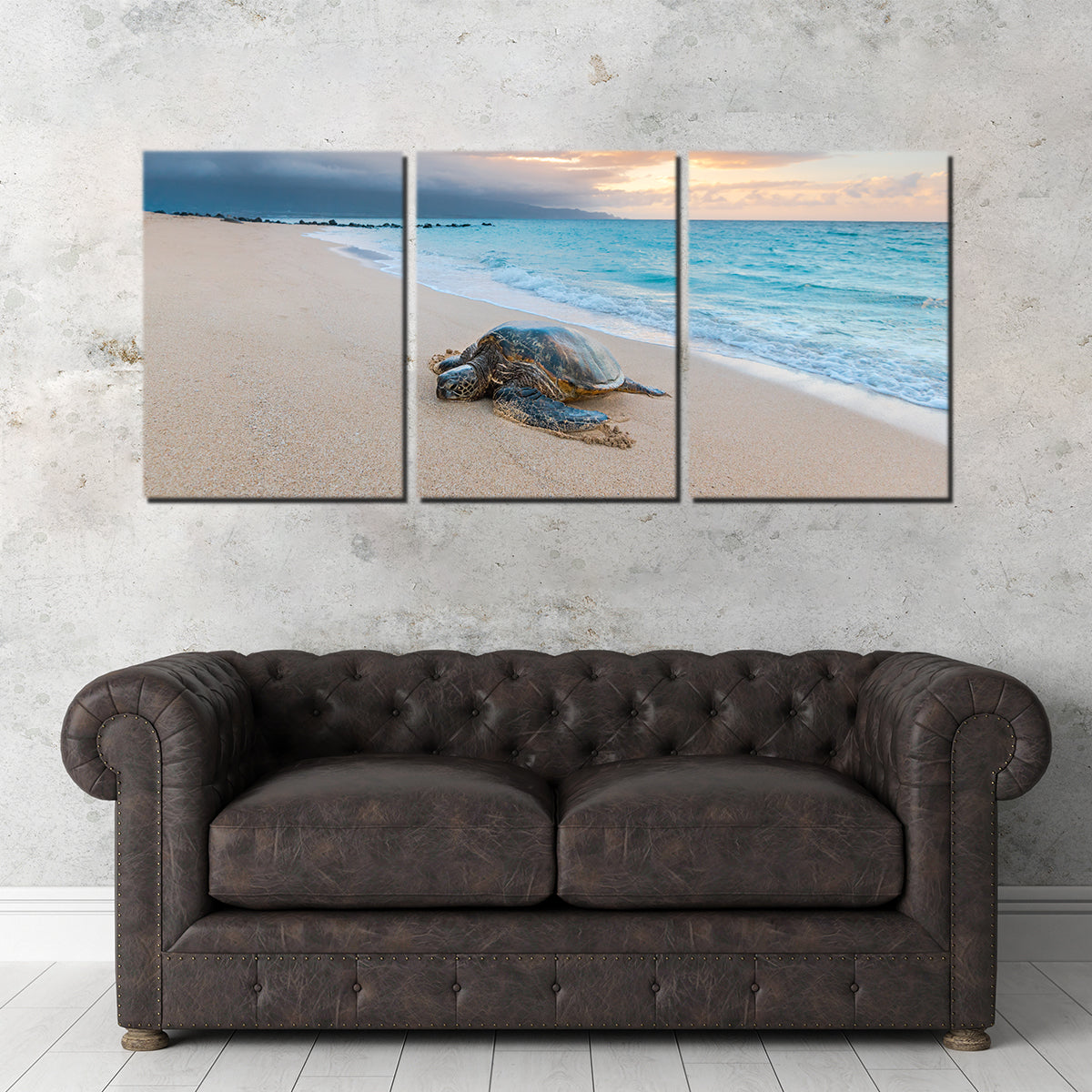 Turtle Sunset Wall Art