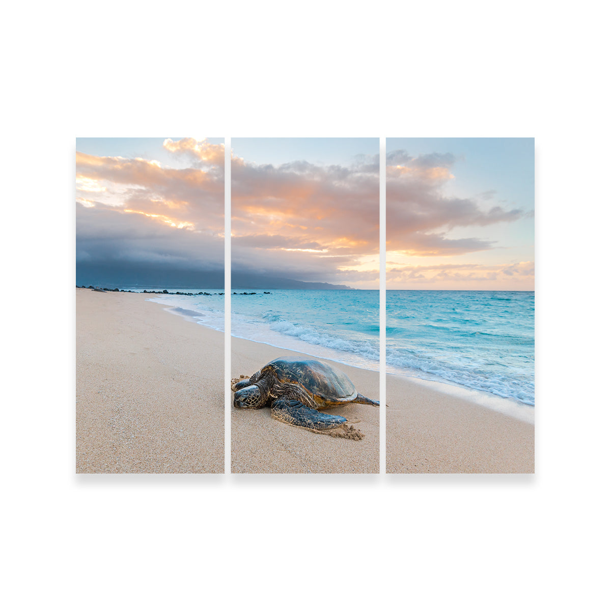 Turtle Sunset Wall Art