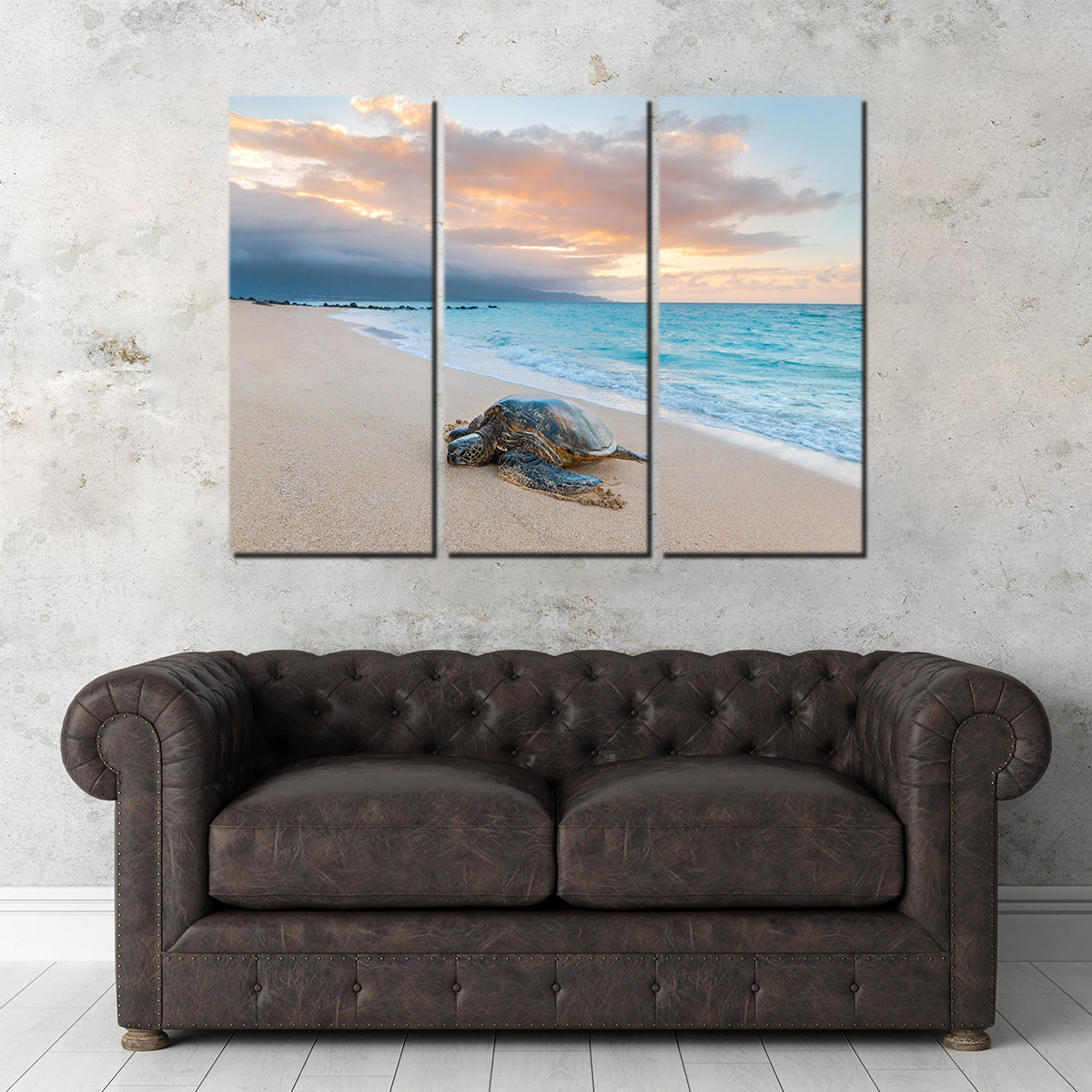 Turtle Sunset Wall Art