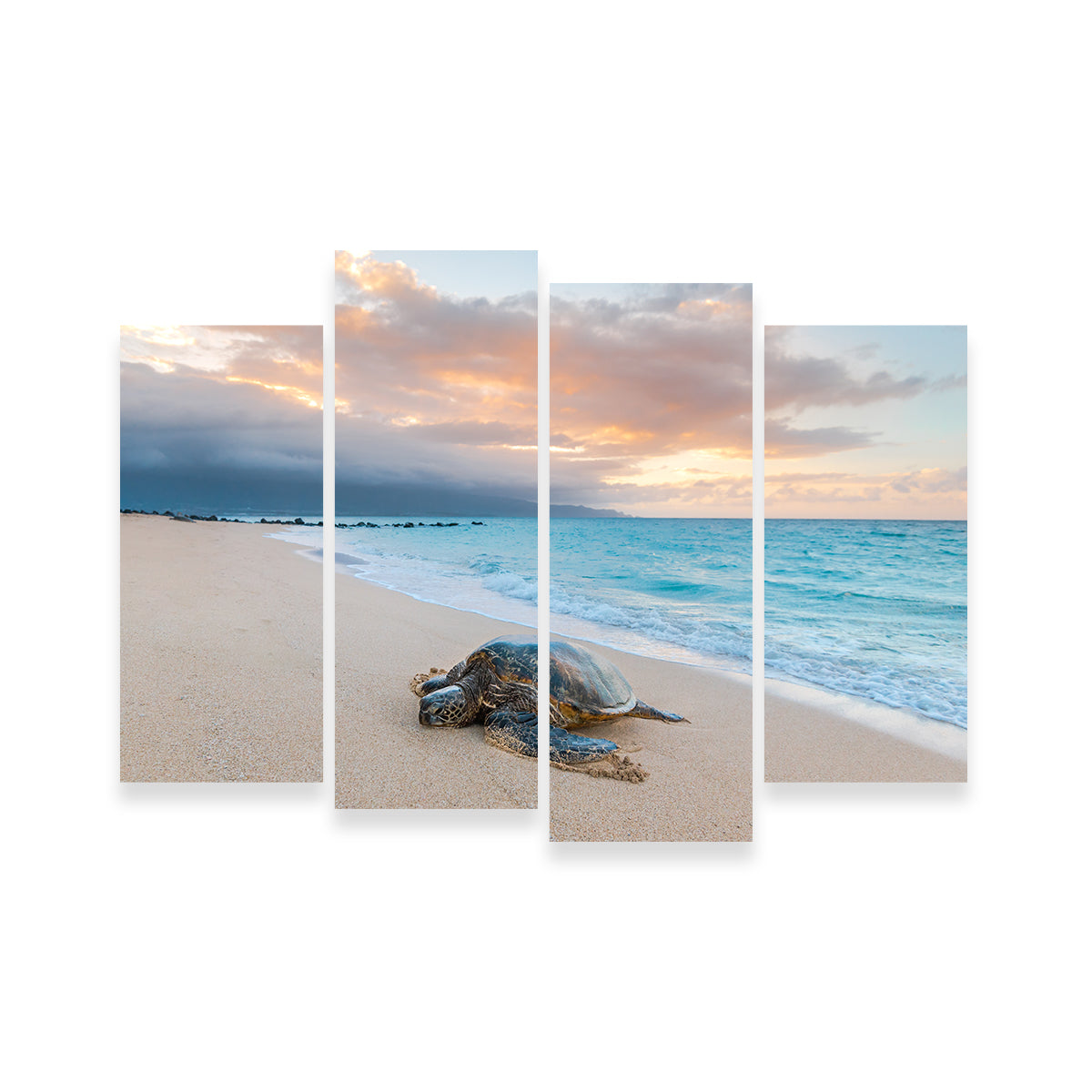 Turtle Sunset Wall Art