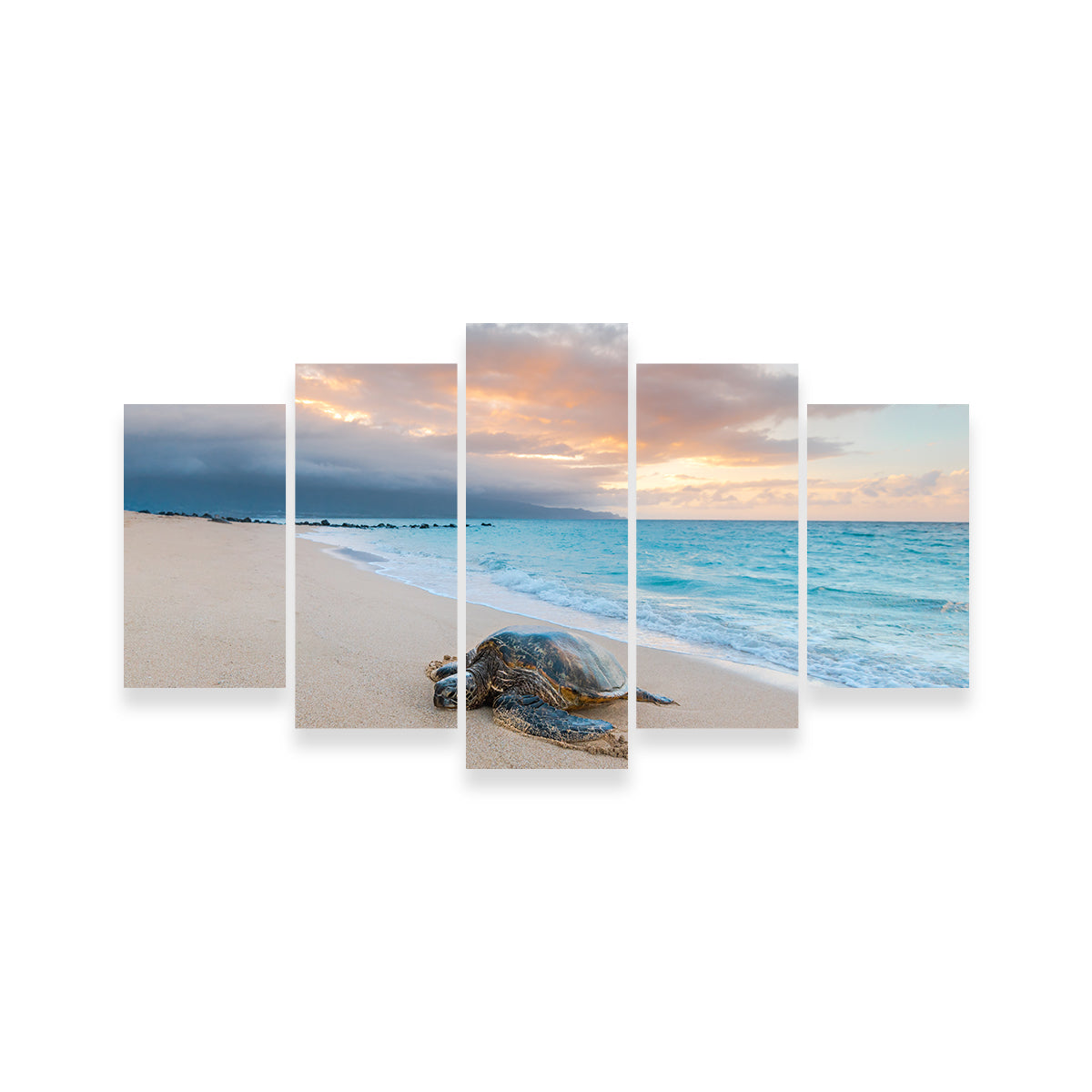 Turtle Sunset Wall Art
