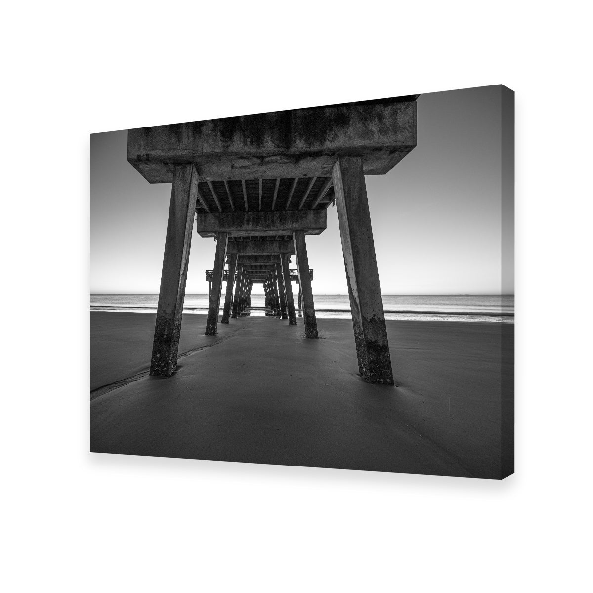 Tybee Island Black & White