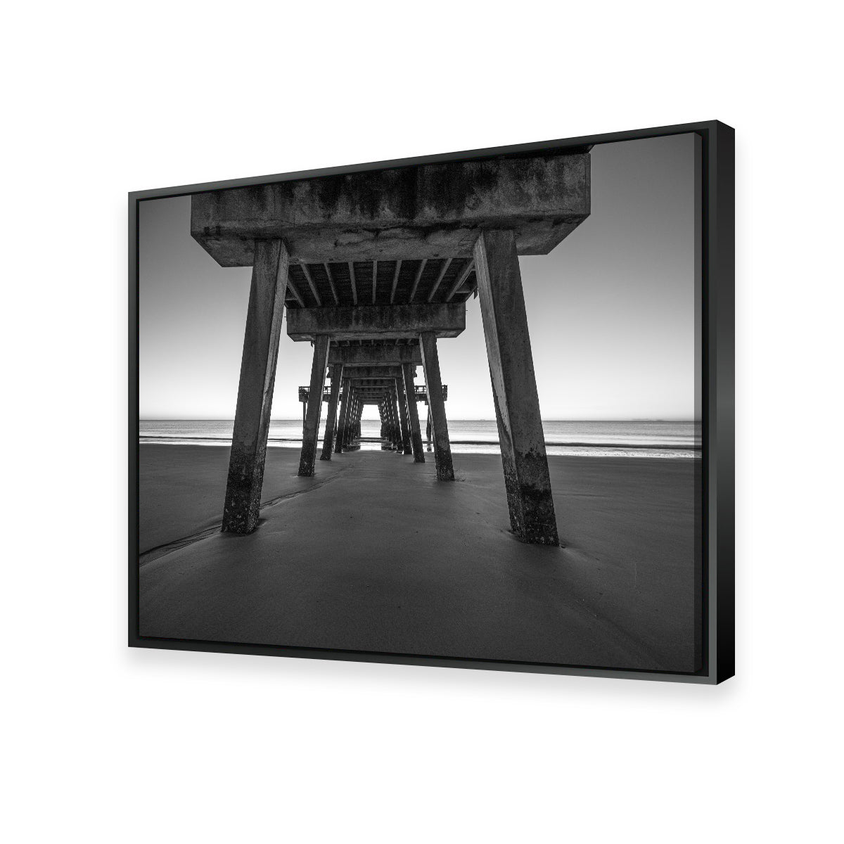 Tybee Island Black & White