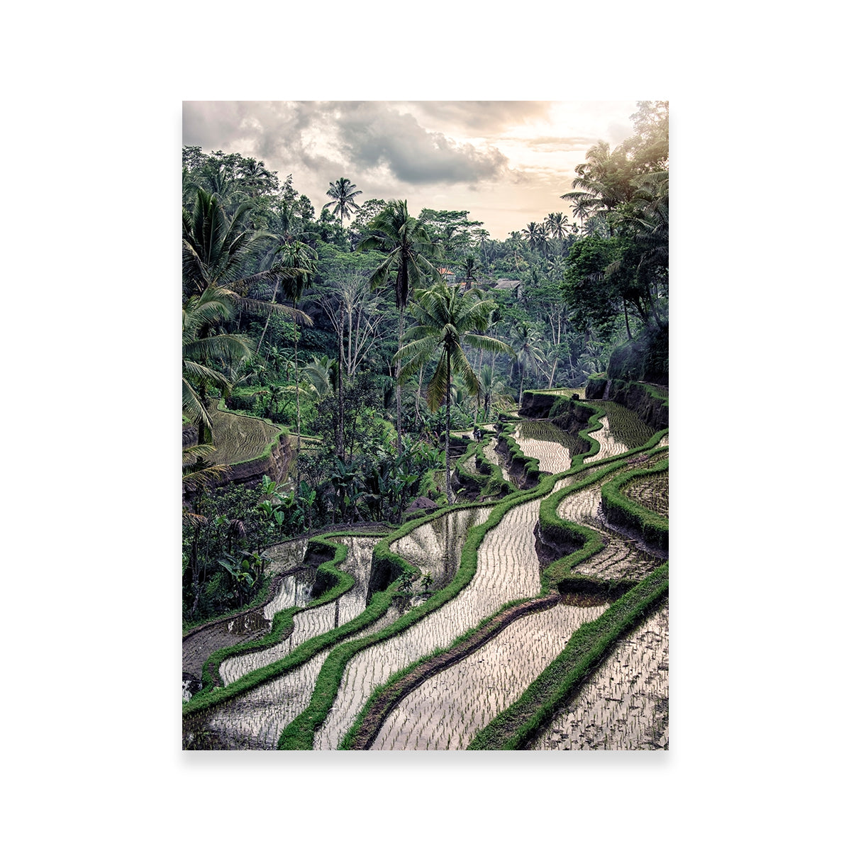 Ubud Countryside Wall Art