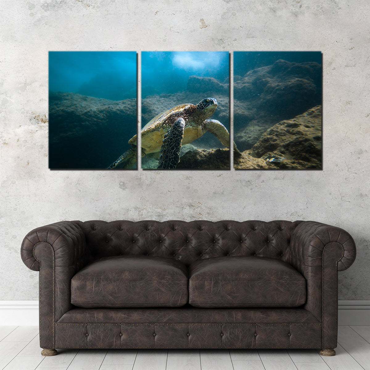 Under the Sea Wall Art