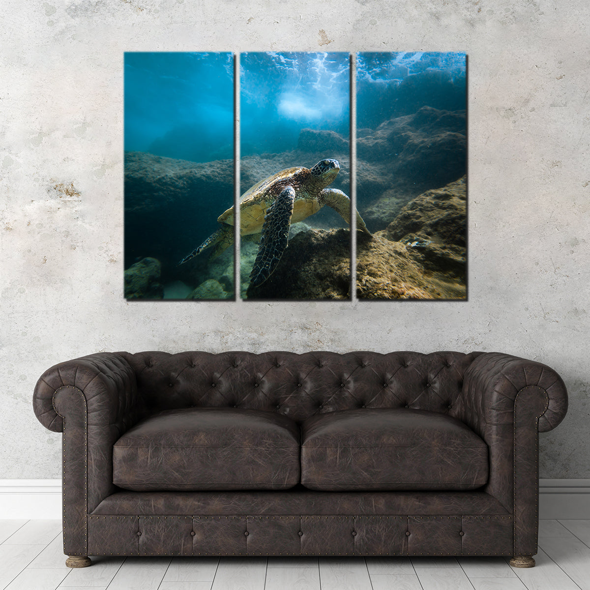 Under the Sea Wall Art