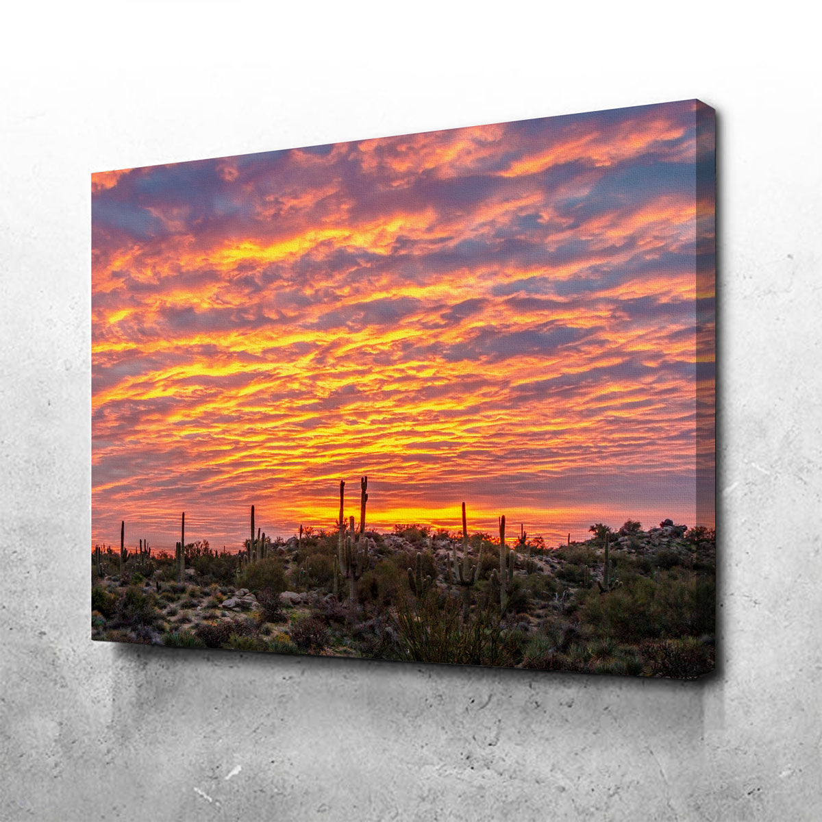 Vibrant Arizona Desert Sunrise Wall Art