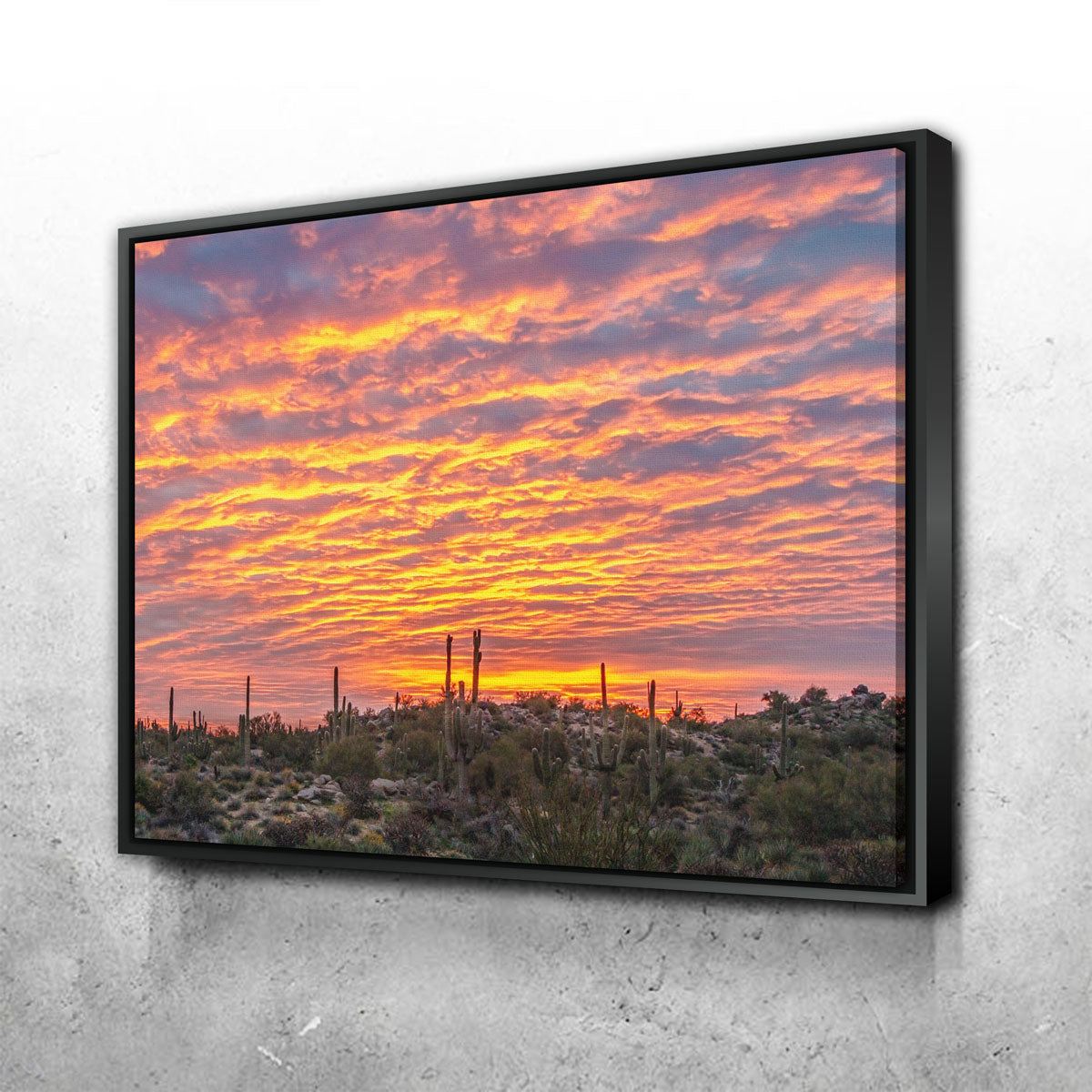 Vibrant Arizona Desert Sunrise Wall Art