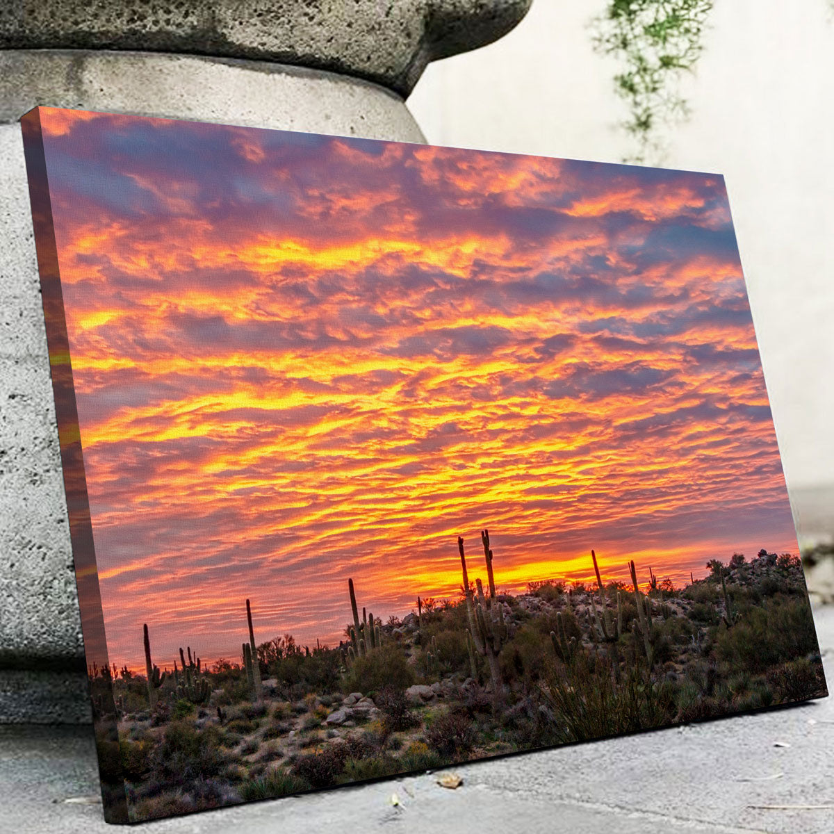 Vibrant Arizona Desert Sunrise Wall Art