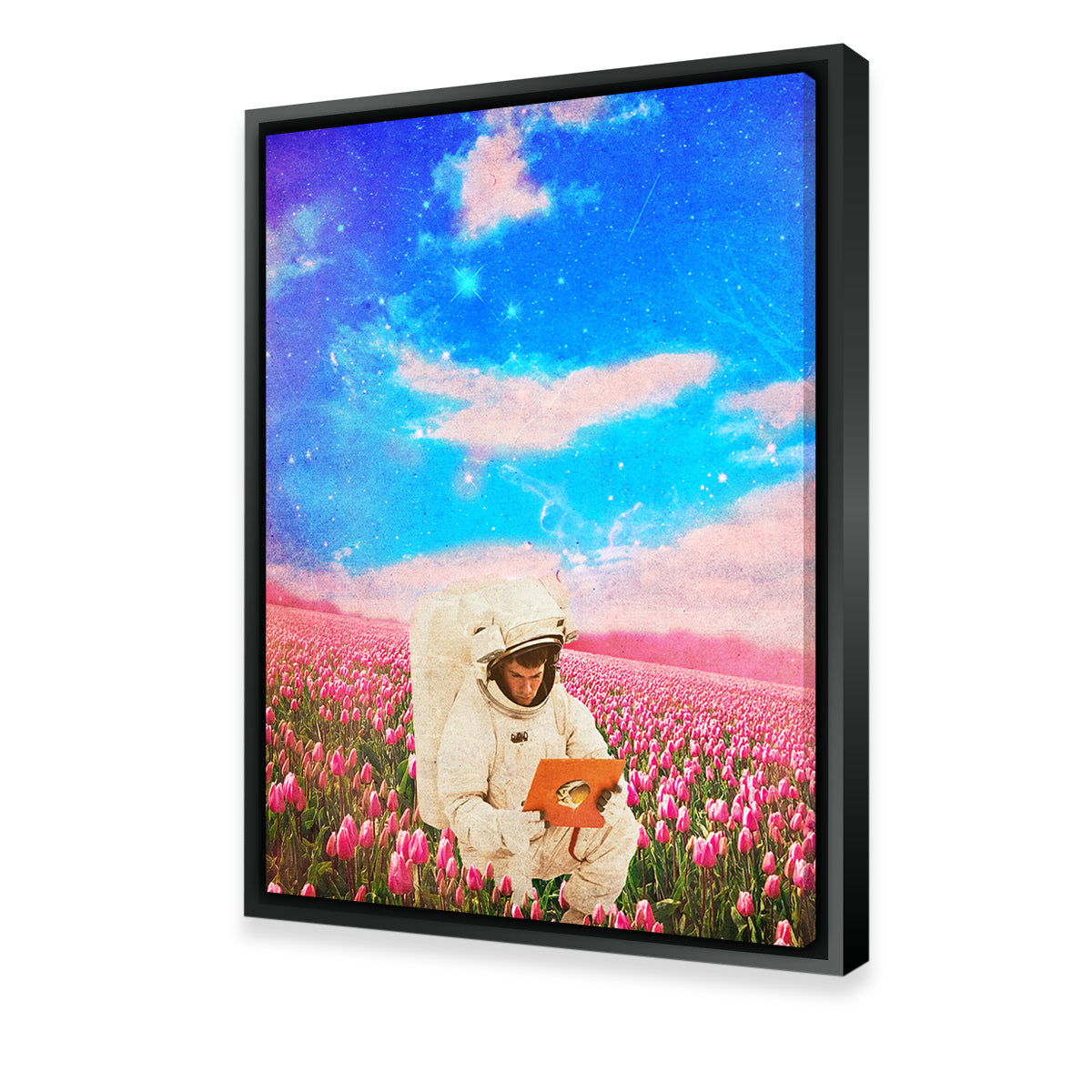 Vintage Astro Wall Art