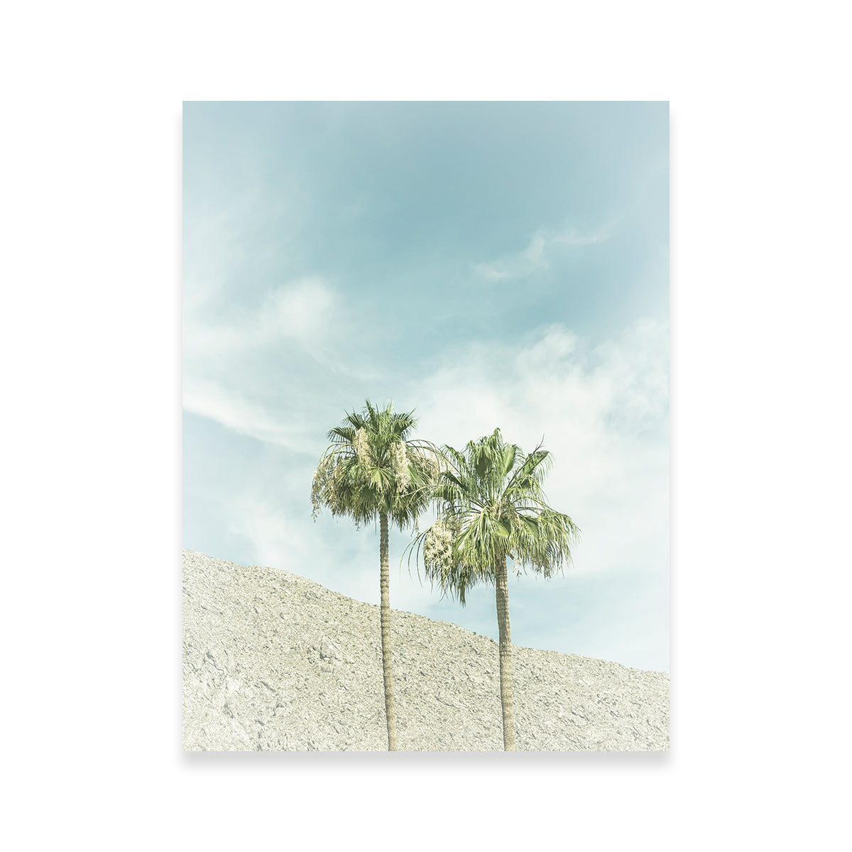 Vintage Palm Trees in the Desert