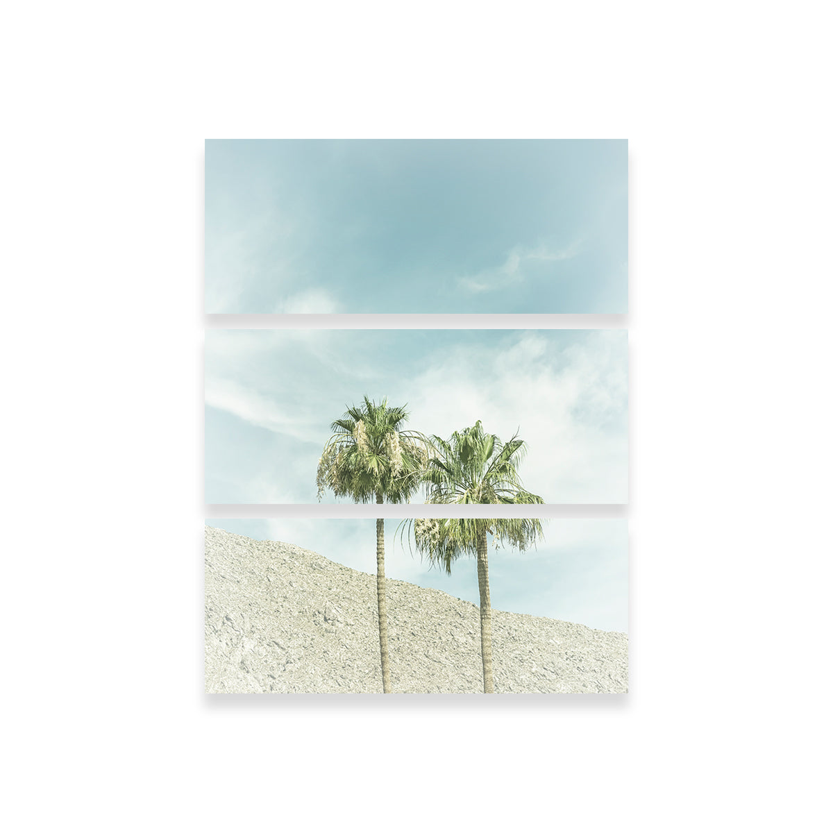 Vintage Palm Trees in the Desert Wall Art