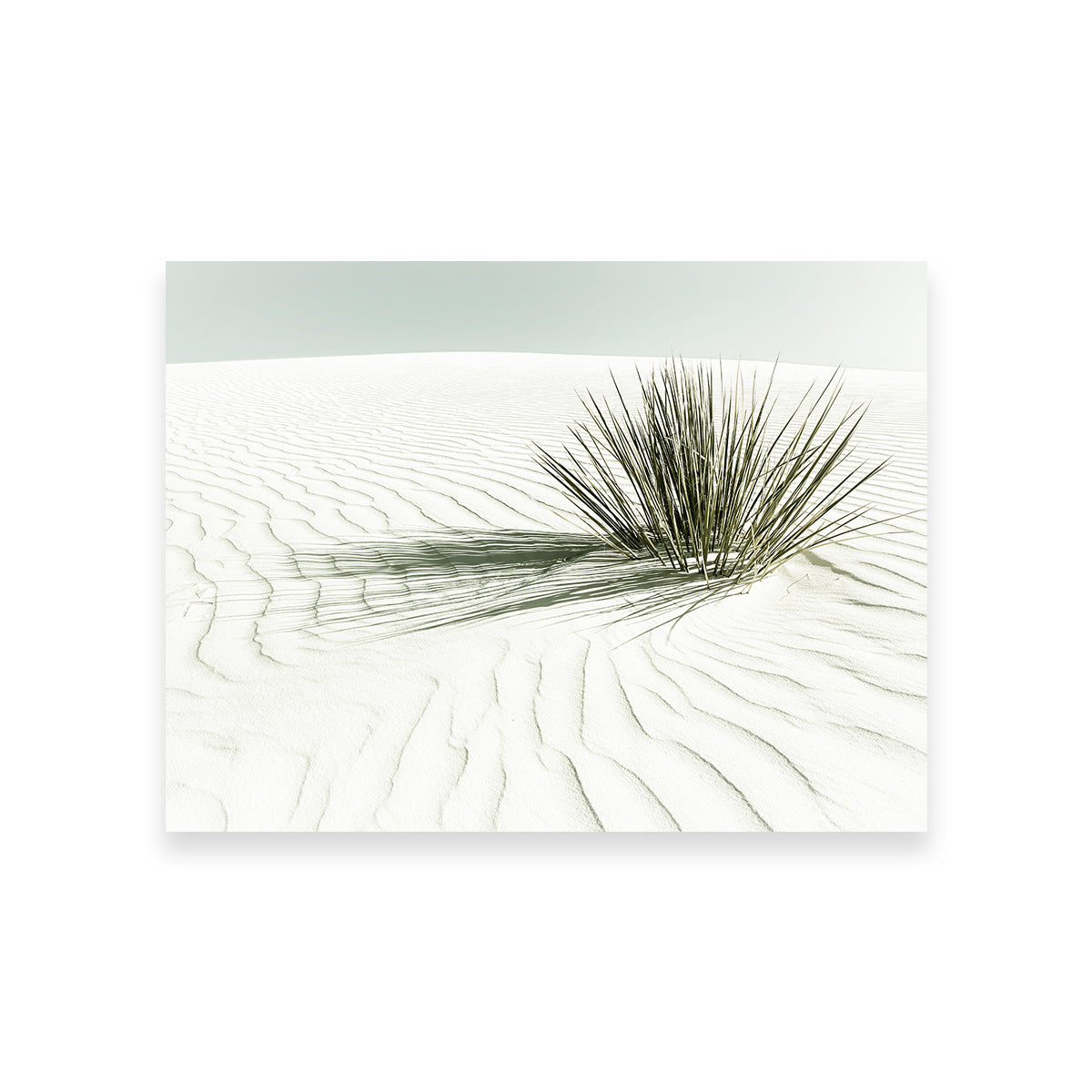 White Sands Vintage Dune