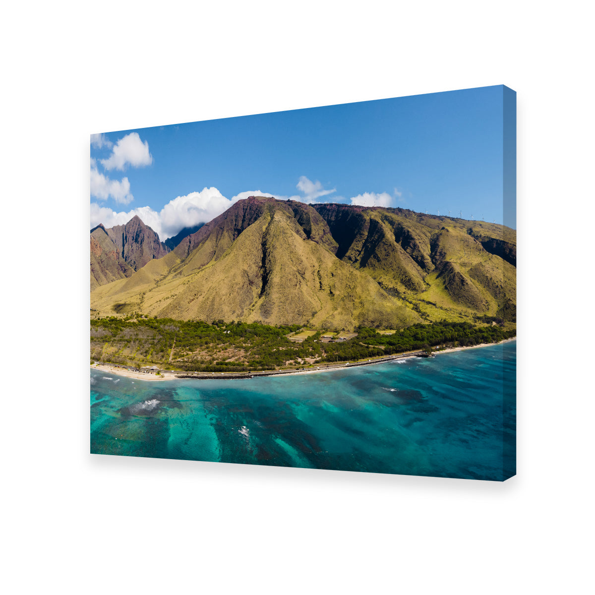 West Maui Aerial Wall Art