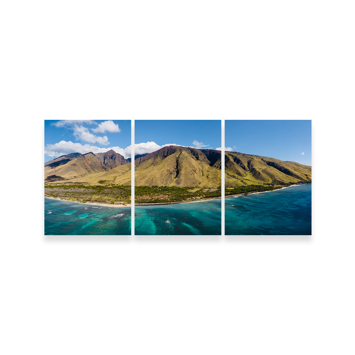 West Maui Aerial Wall Art