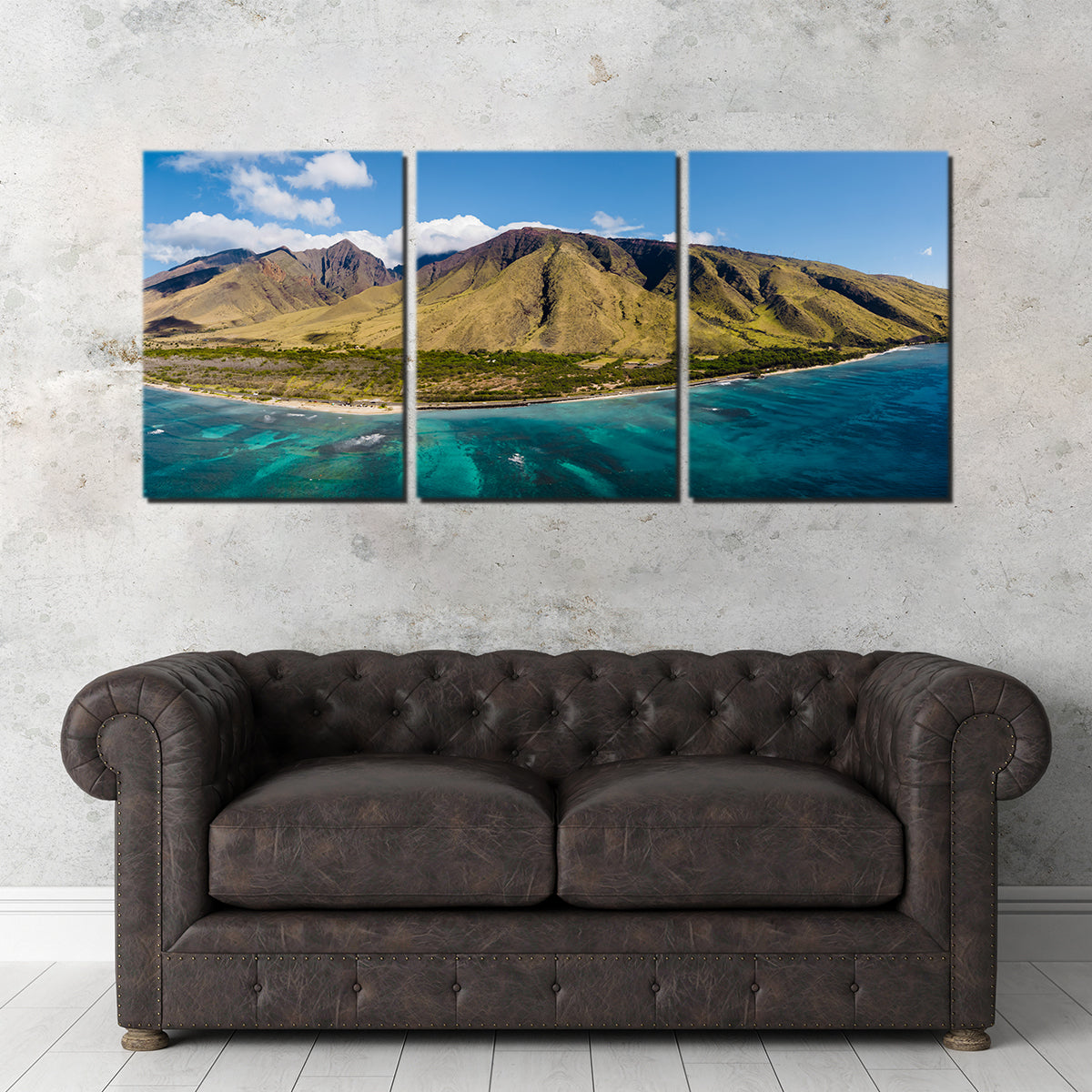 West Maui Aerial Wall Art