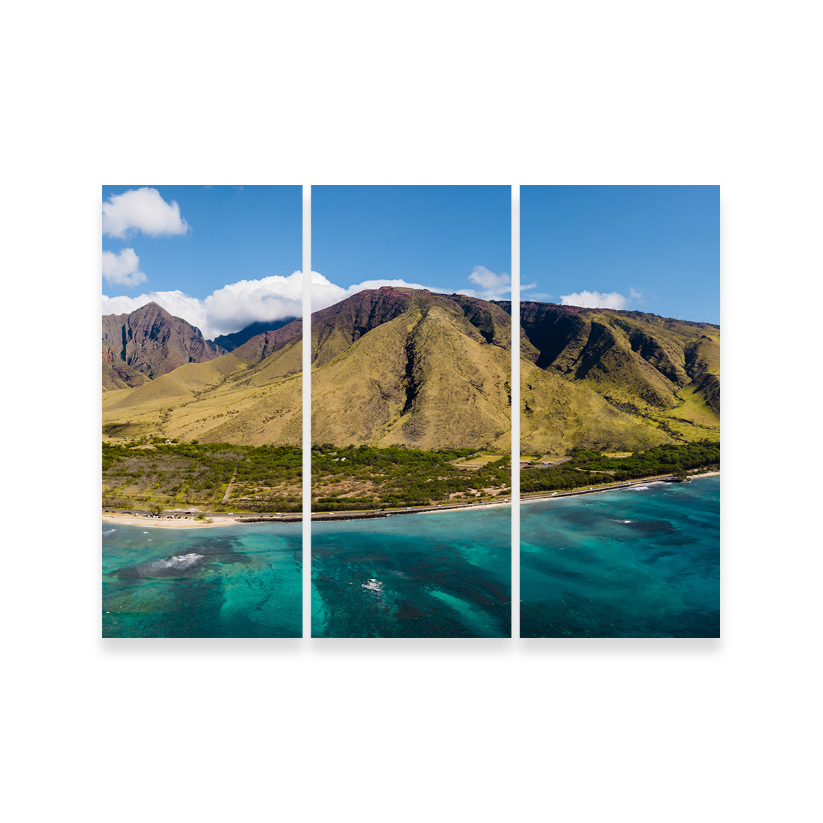 West Maui Aerial Wall Art