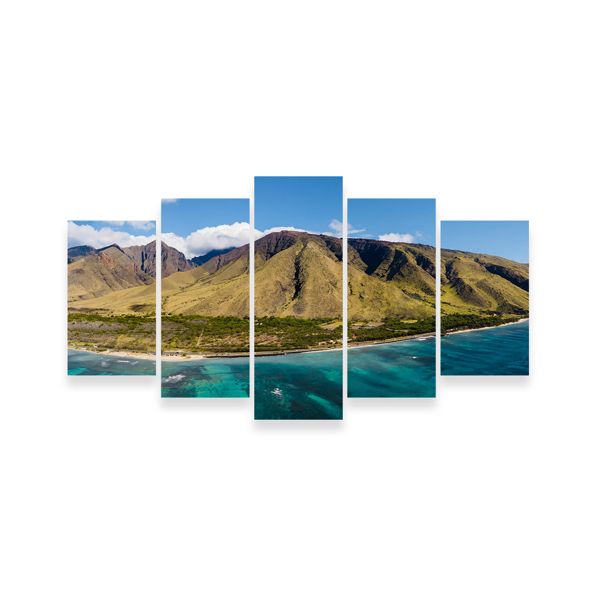 West Maui Aerial Wall Art