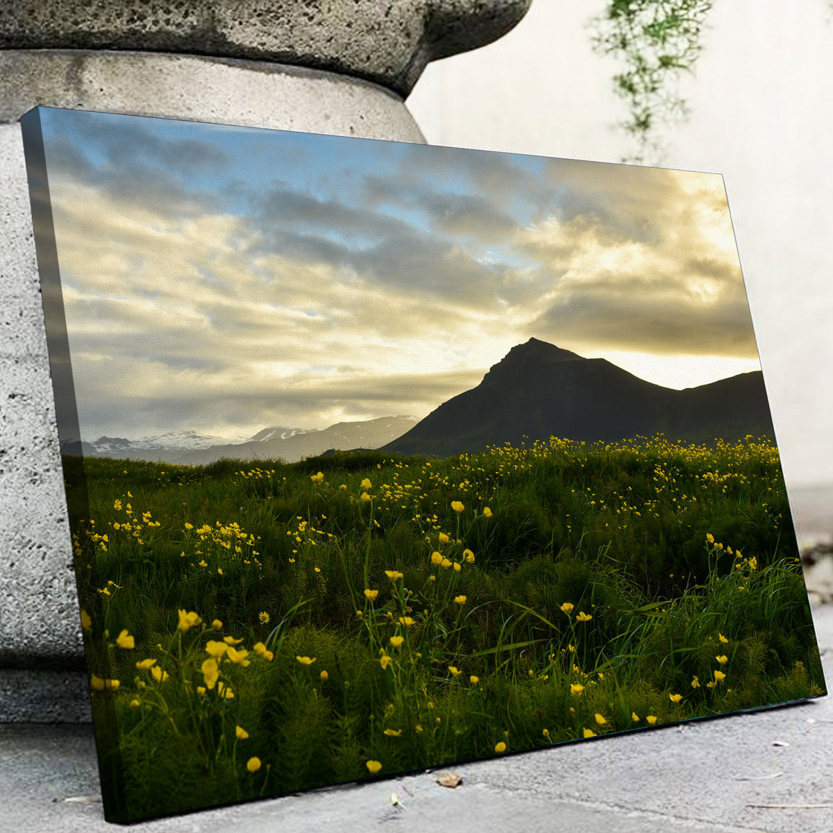 Wildflowers Wall Art