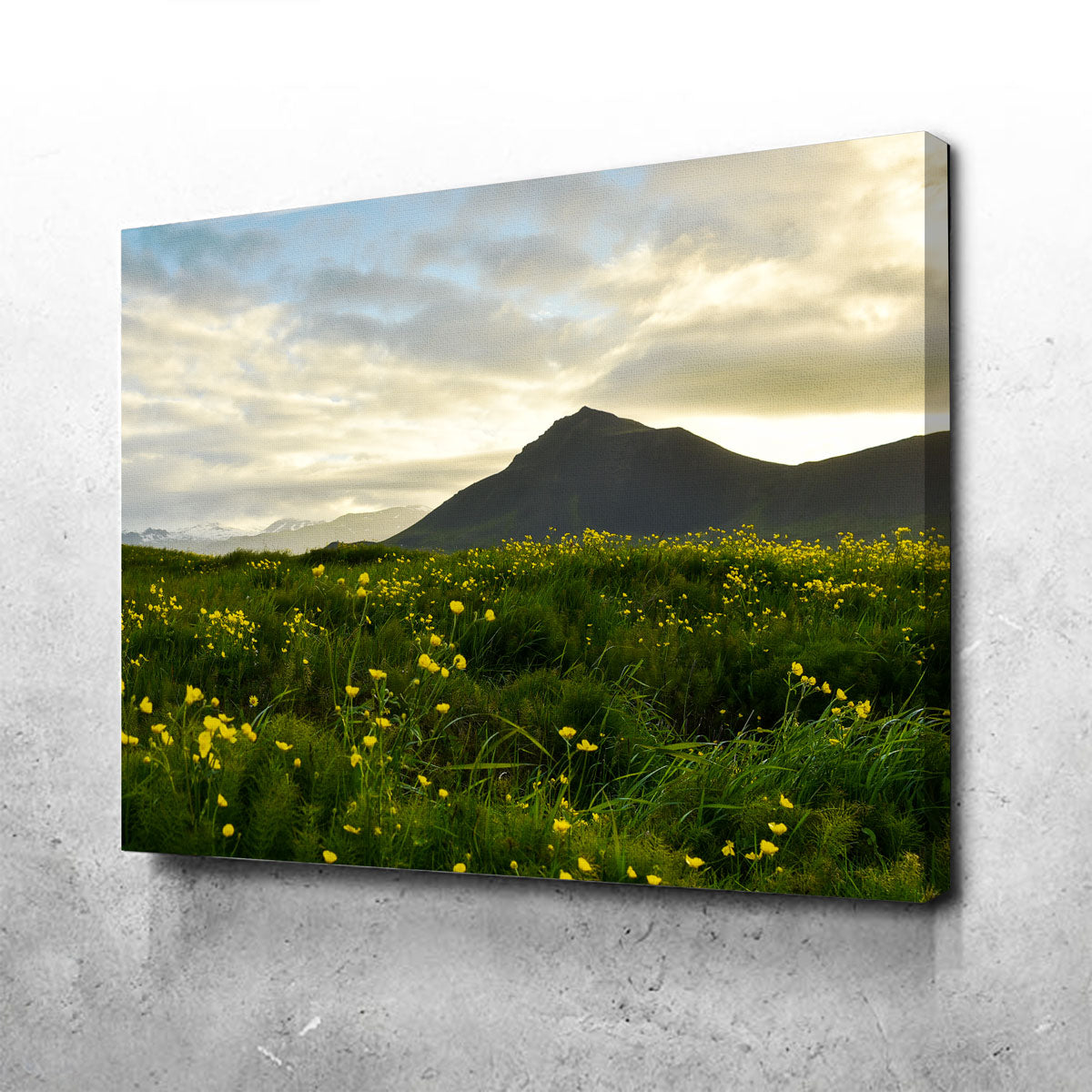 Wildflowers Wall Art