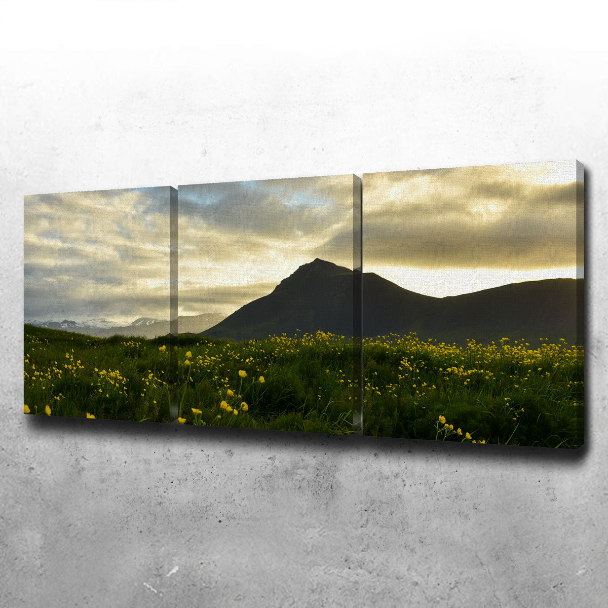 Wildflowers Wall Art